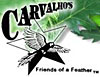 Carvalhos