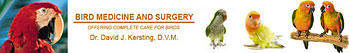 Bird Medicine and Surgery
