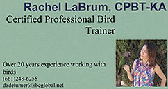 Rachel La Brum CPBT-KA
Certified Professional Bird Trainer
661-248-6255