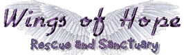 Wings of Hope