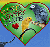 Bird Lovers Club