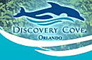 Discovery Cove