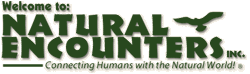 Natural Encounters