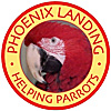 Phoenix Landing