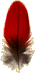 Scarlet Macaw Feather