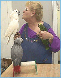 Jeri Wright and her beautiful birds