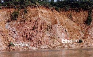 Blinds at the base of the cliff