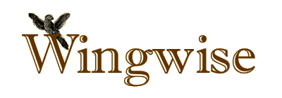 Wingwise Logo